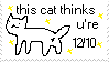 IMG 8627.png