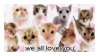 IMG 8621.png