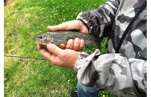 How to Involve Yourself With Fly Fishing Spain Task.jpg