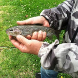 How to Involve Yourself With Fly Fishing Spain Task