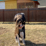 Kristina Fedorova 534