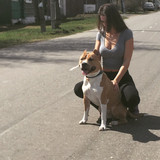 Kristina Fedorova 529