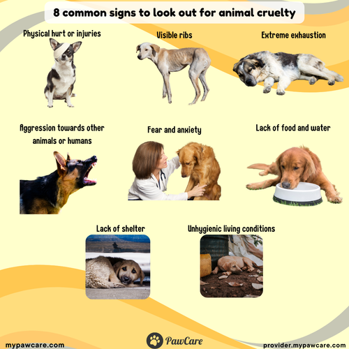 8 common signs to look out for animal cruelty.png