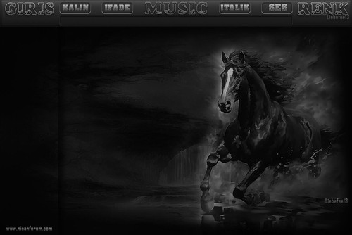 At Radyo Tema 3 liebefee13