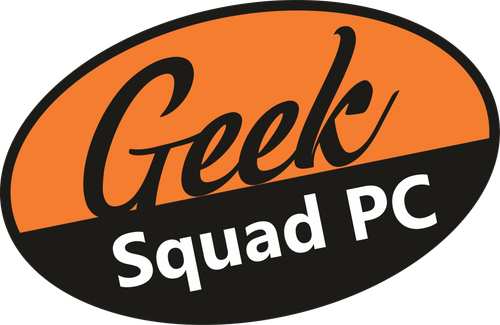 Geek Squad pc
