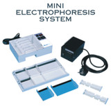 Mini Electrophoresis System (1)
