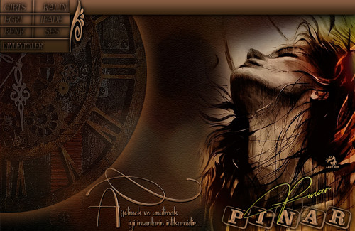 Lady Nur Dj Pınar Affetmek.jpg