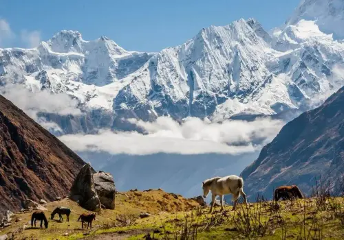 The Manaslu trek is a 110-mile hike that is a great alternative to Everest Base Camp hike or the Annapurna Circuit hike. The trek usually takes between 14 and 17 days. There are some who do it in 12 days.
https://adventurewhitehimalaya.com/trips/manaslu-circuit-trekking/