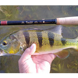 How to Enjoy Fly Fishing for Bluegill