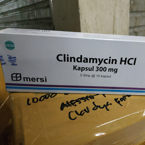 5181700 4bd8c949 3de1 4020 bea9 c186edbb9063 1500 1500.jpg