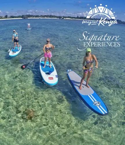 Dolphin Paddle boarding Kenya

Stand Up Paddleboarding Kenya - SUP Lessons

Stand Up Paddle boarding with dolphins is listed as one of Kenya's Signature experiences. It is our most unique SUP excursion and a once in a lifetime.

https://tribe-watersports.com/choose-your-sport/stand-up-paddleboarding-in-watamu-kenya/