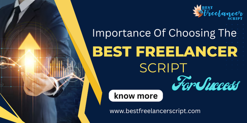 importance of choosing the best freelancer script for success.png