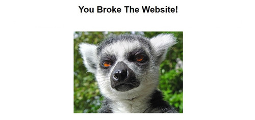 you broke the website image 2