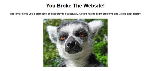 you broke the website image