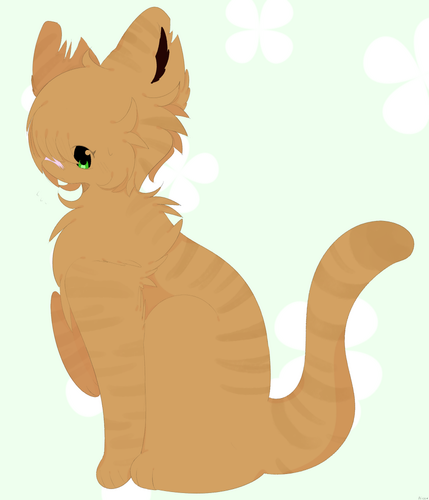 olivepaw.png