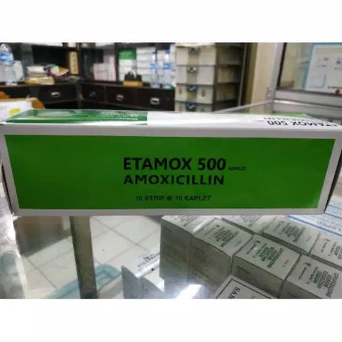 5181700 89066e19 7ed8 4b9e 9015 ef36132be0a0 640 640.jpg