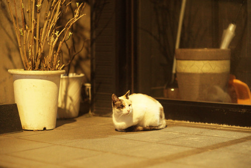 A7SDSC01824.jpg