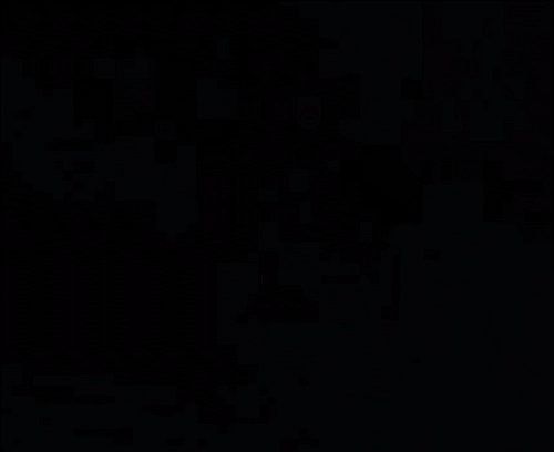 GIF 4 19 2024 2 13 04 PM.gif