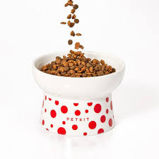 Feeding Options That Are Easy To Use With Automatic Cat Feeders.jpg