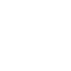 icons8 instagram 240.png