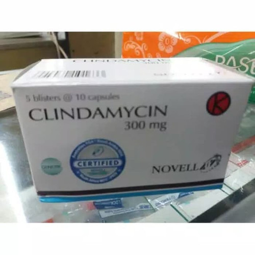 5181700 85b0c8c7 b630 4b61 8901 70a6f8969036 640 640.jpg