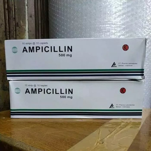 5181700 80cbd6c6 3390 4f30 bb9b 9b7da3ddae08 640 640.jpg