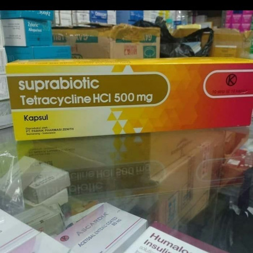 5181700 578639de 9cbf 4e38 a49e 53d2dda86906 1080 1080.jpg