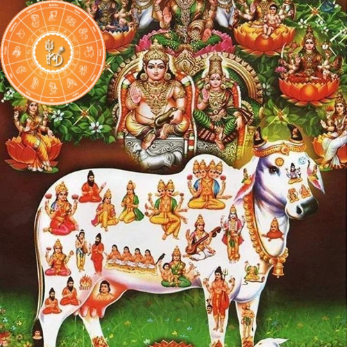 online kundali horoscope.jpg