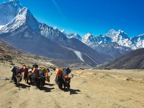 EBC-Nepali (2).jpg