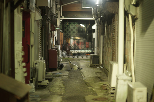 A7SDSC01832.jpg