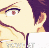 1000017896.gif