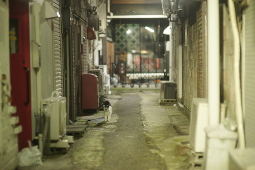 A7SDSC01833.jpg