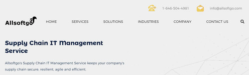 Supply Chain IT Management Services Allsoftgo.jpg