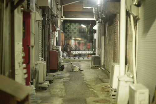 A7SDSC01832.jpg
