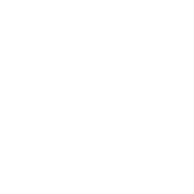 icons8 instagram 384.png
