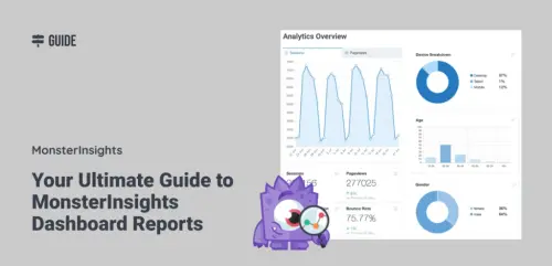 MonsterInsights 1024x494.webp