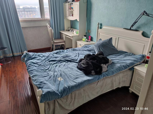 image 20240226215956770.png