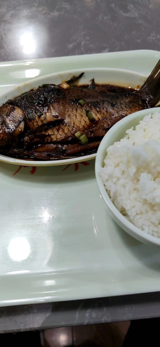 image 20240226224341191.png