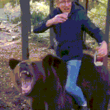 medved2.gif