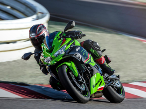 Zig Kawasaki.png