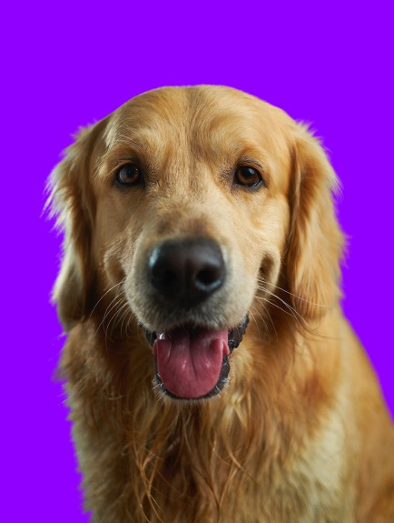 victor grabarczyk x5oPmHmY3kQ unsplash removebg preview (3).jpg