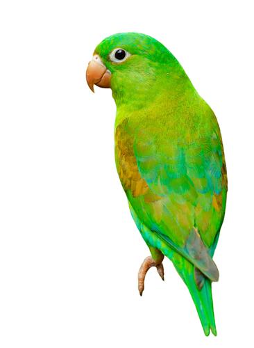 zdenek machacek OlKkCmToXEs unsplash PhotoRoom.png PhotoRoom.png