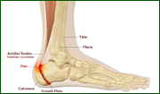 thumb bd60396feb42d8b2170bc3cbc224f5fe.png