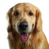 victor grabarczyk x5oPmHmY3kQ unsplash removebg preview (1) PhotoRoom.png PhotoRoom.png