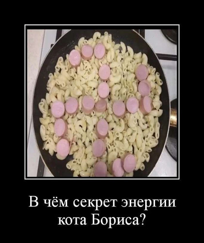xBvPaqJdE5K9EwLDUq9HtyQPWZ62ORKo8eqGCiOKg7xP 1xYEM1yDcnPeWZuzliCR4da4 y4t9rJLfKOatGLZMZ.jpg