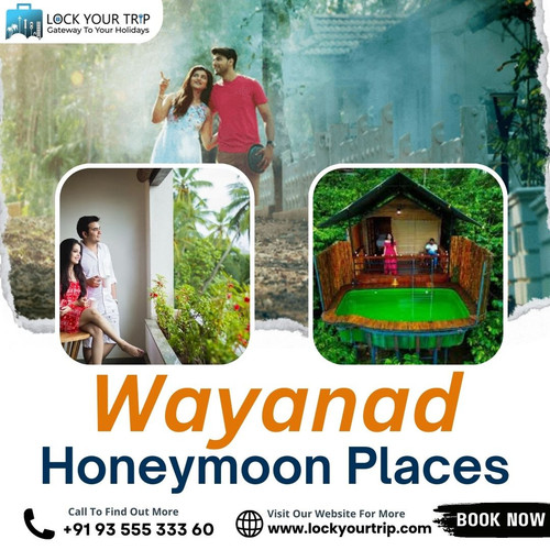 Wayanad Honeymoon Places (2).jpg