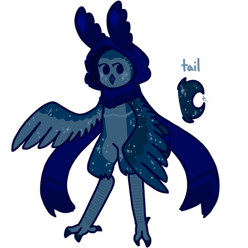IMG 7538.png
