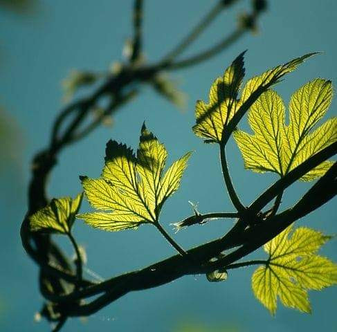 FB IMG 1684317432473.jpg