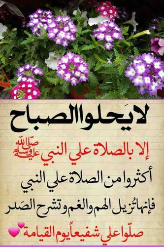 4E6962A8 D77D 4593 B73E AB0ADBED3ECB.jpg