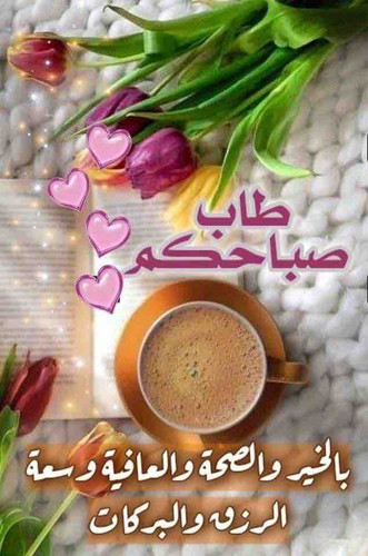 BDF7CCB7 8B1D 4BAB A855 F858B3FED738.jpg